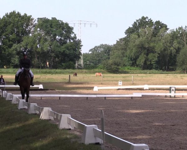 Reitturnier Gallinchen 2023