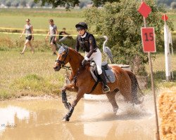 jumper Bo-Attella van Sundance (Nederlands Appaloosa Pony, 2012, from Oleander)