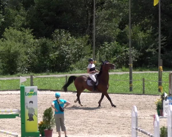 Reitturnier Gossau 2023