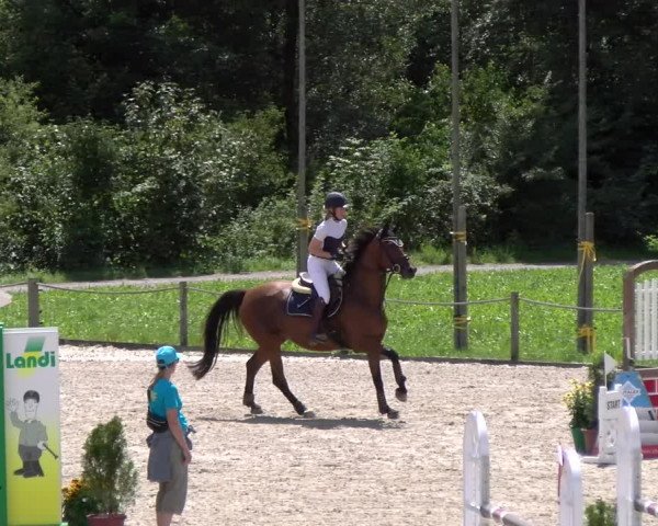 Reitturnier Gossau 2023