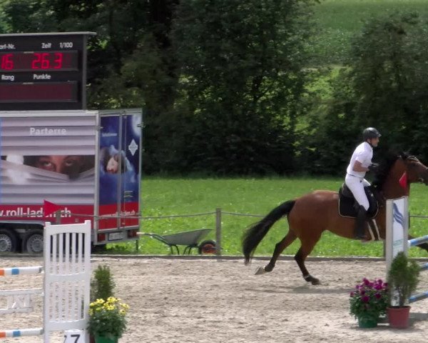 Reitturnier Gossau 2023