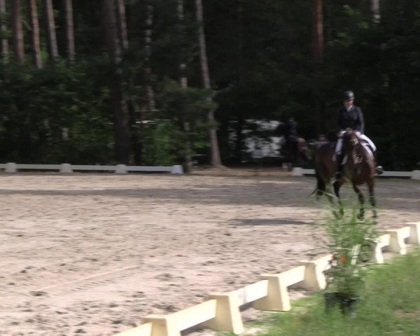 Reitturnier Dannenberg 2023