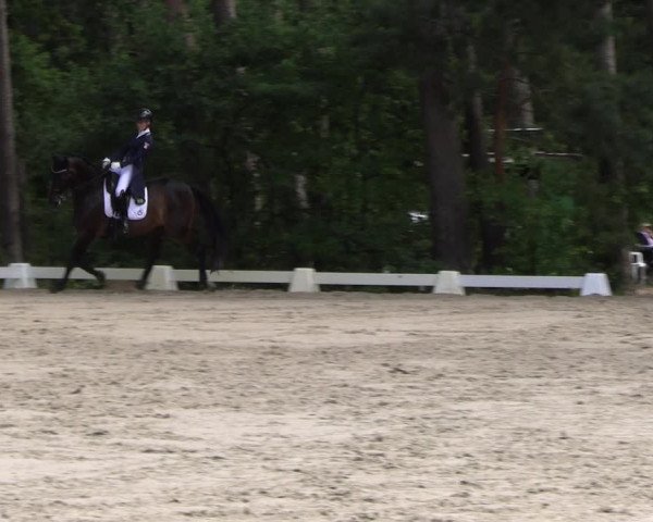 Reitturnier Dannenberg 2023