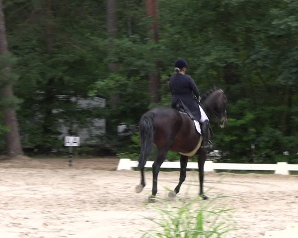 Reitturnier Dannenberg 2023
