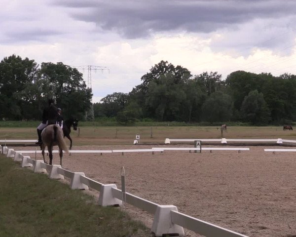 Reitturnier Gallinchen 2023
