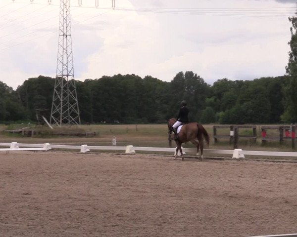 Reitturnier Gallinchen 2023