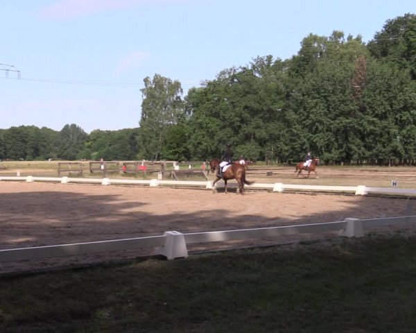 Reitturnier Gallinchen 2023