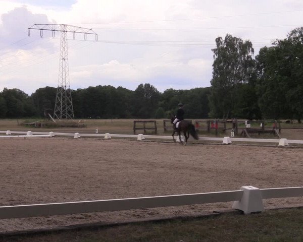 Reitturnier Gallinchen 2023