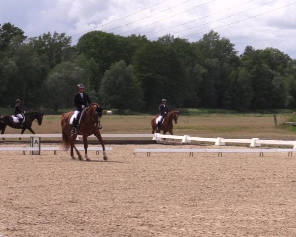 Reitturnier Gallinchen 2023