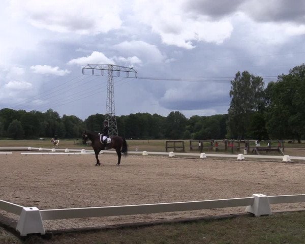 Reitturnier Gallinchen 2023