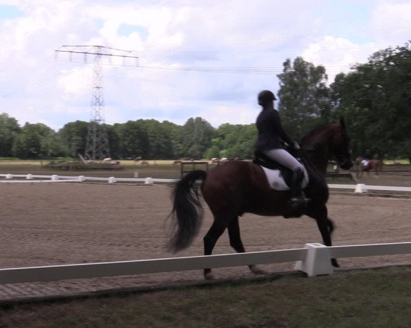 Reitturnier Gallinchen 2023