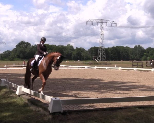 Reitturnier Gallinchen 2023