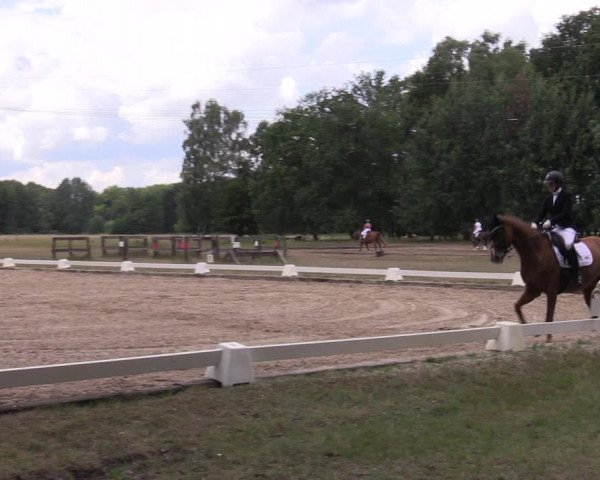 Reitturnier Gallinchen 2023