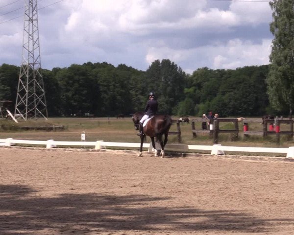 Reitturnier Gallinchen 2023