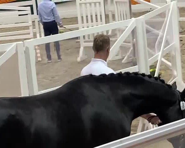 Video of Ezekiel (ex El Presidente)
