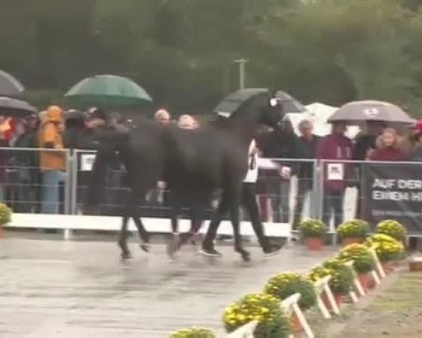 Video of Ezekiel (ex El Presidente)