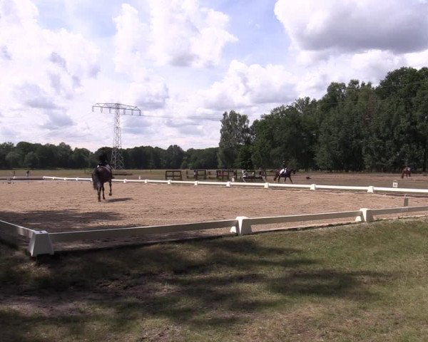 Reitturnier Gallinchen 2023