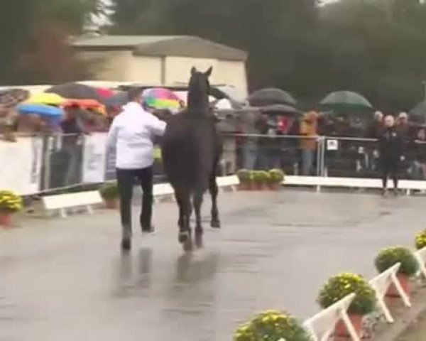 Video of Ezekiel (ex El Presidente)