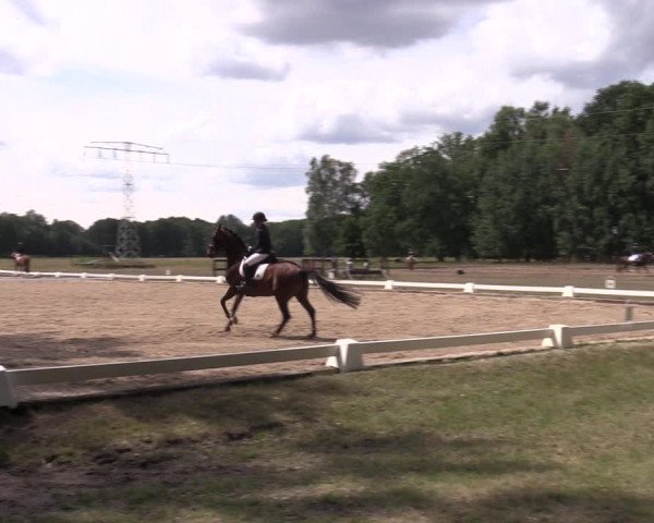 Reitturnier Gallinchen 2023