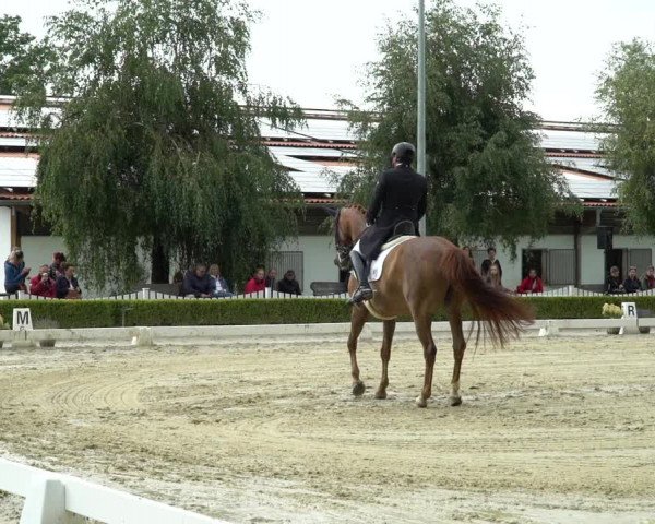 Reitturnier Neu-Anspach / Wintermühle 2023