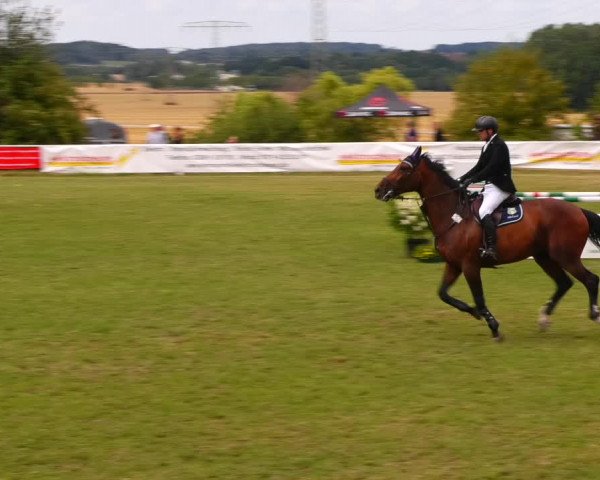 Reitturnier Baschütz bei Bautzen 2023