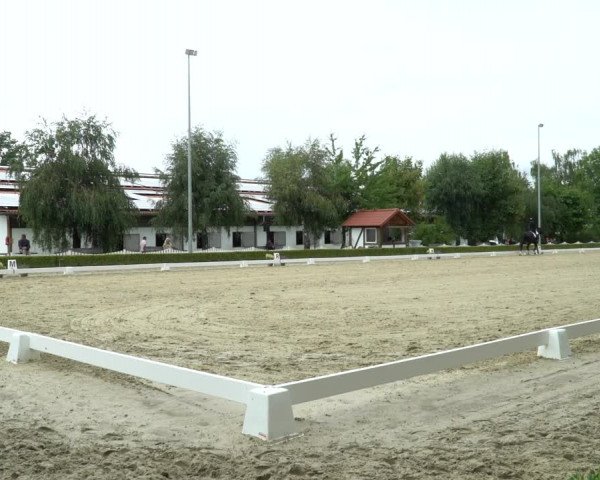 Reitturnier Neu-Anspach / Wintermühle 2023