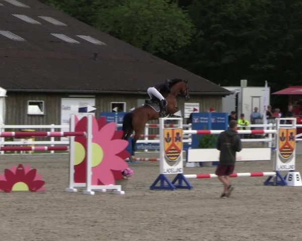 Reitturnier Ladelunder Springtage 2023