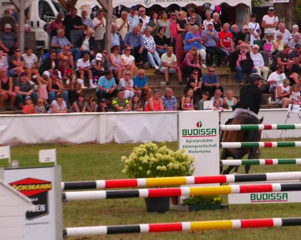 Reitturnier Baschütz bei Bautzen 2023