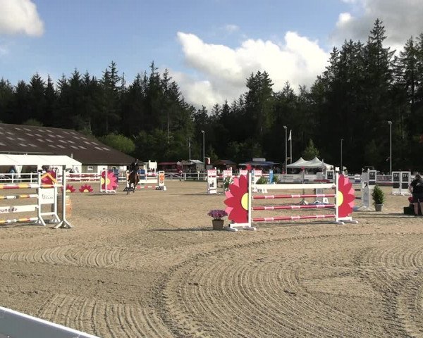 Reitturnier Ladelunder Springtage 2023