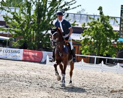 jumper Cassitha (KWPN (Royal Dutch Sporthorse), 2012, from Calido I)