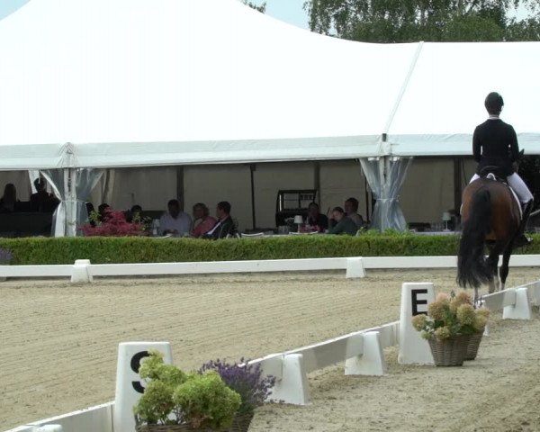 Reitturnier Neu-Anspach / Wintermühle 2023