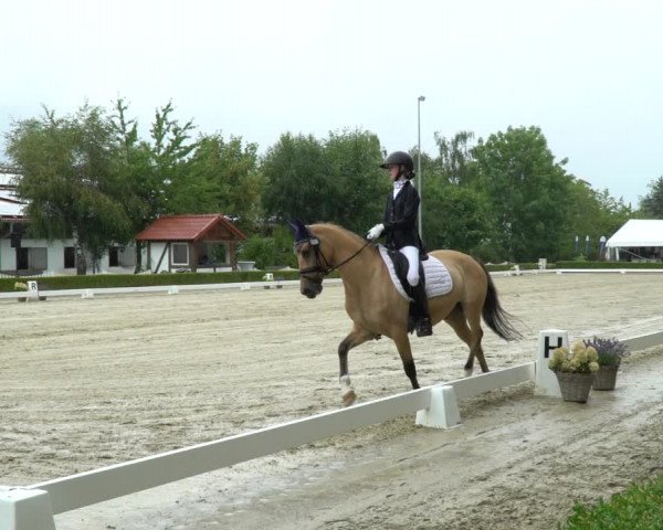 Reitturnier Neu-Anspach / Wintermühle 2023