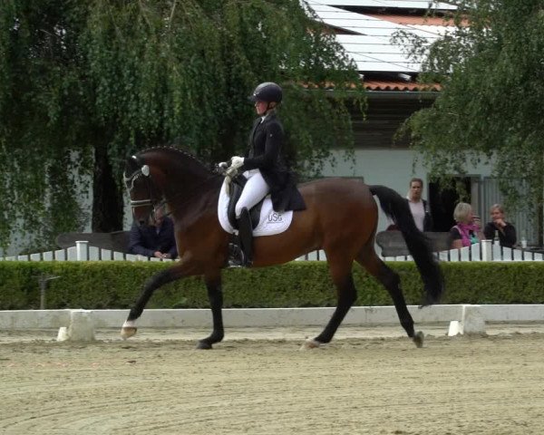 Reitturnier Neu-Anspach / Wintermühle 2023