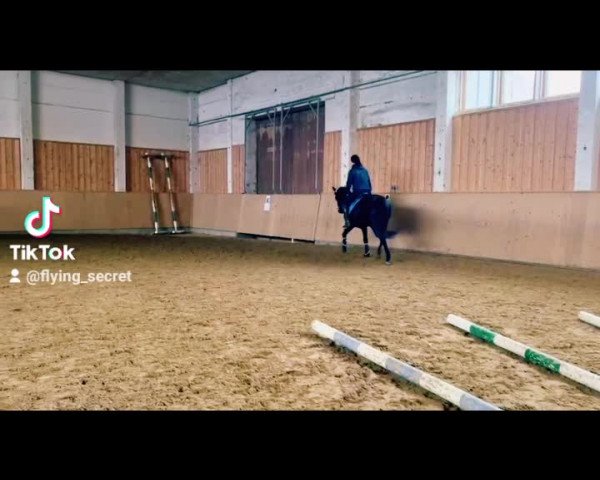 Video von Cosima 286