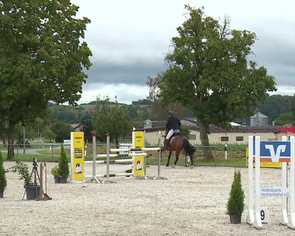 Reitturnier Rot am See- Musdorf 2023