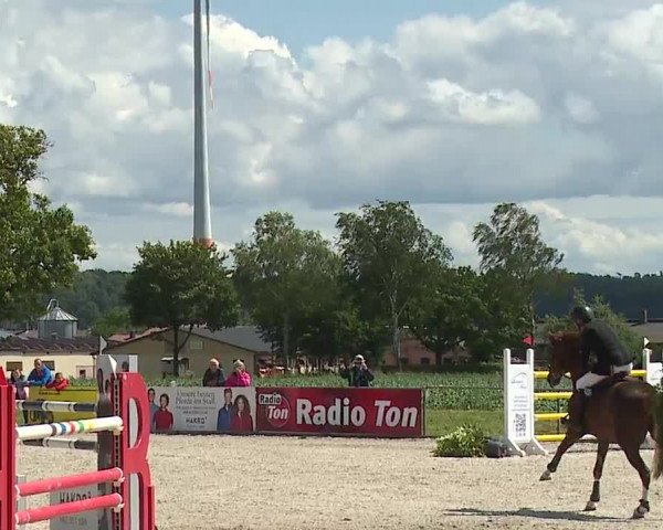 Reitturnier Rot am See- Musdorf 2023