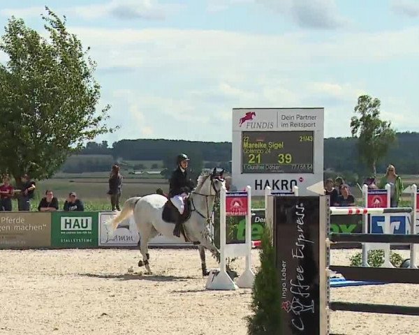 Reitturnier Rot am See- Musdorf 2023