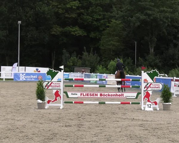 Reitturnier Ladelunder Springtage 2023