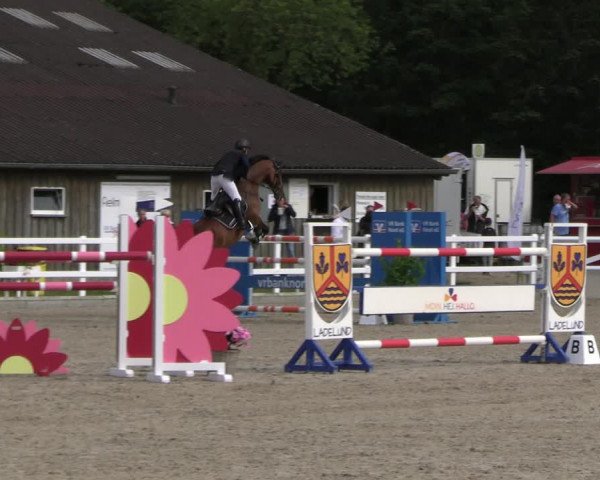 Reitturnier Ladelunder Springtage 2023