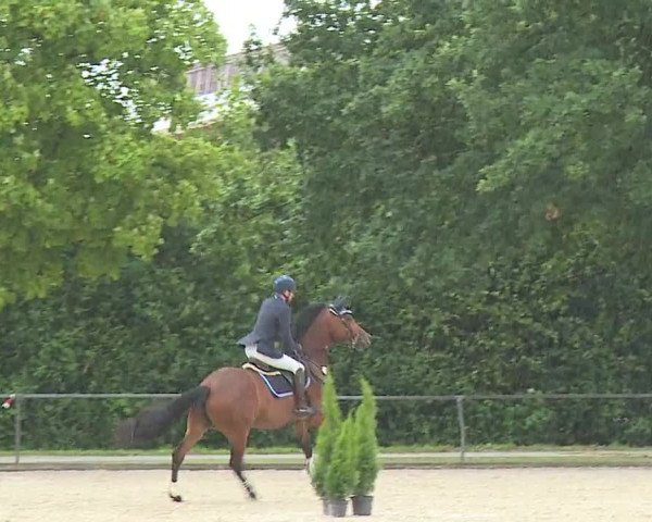 Reitturnier Rot am See- Musdorf 2023