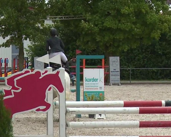 Reitturnier Rot am See- Musdorf 2023