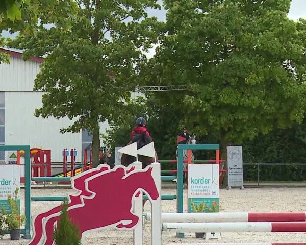 Reitturnier Rot am See- Musdorf 2023
