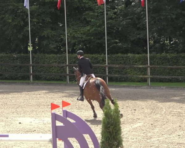Reitturnier Klein Roscharden 2023