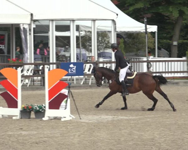 Reitturnier Klein Roscharden 2023