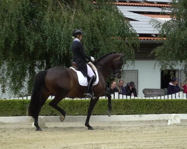 Reitturnier Neu-Anspach / Wintermühle 2023