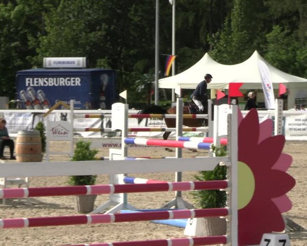 Reitturnier Ladelunder Springtage 2023