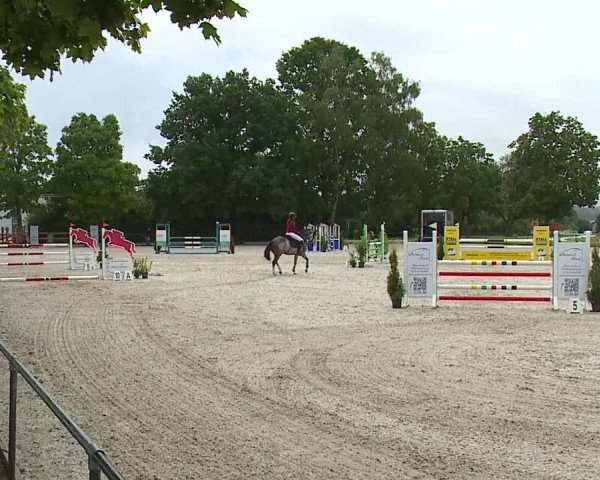 Reitturnier Rot am See- Musdorf 2023