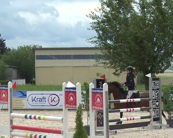 Reitturnier Rot am See- Musdorf 2023