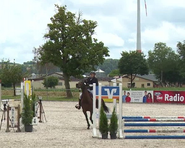 Reitturnier Rot am See- Musdorf 2023