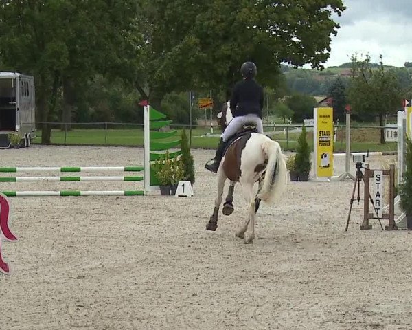 Reitturnier Rot am See- Musdorf 2023